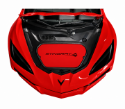 C8 Corvette custom-painted frunk cover with Stingray logo, gallery view 1