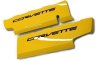 C7 Corvette Painted Fuel Rail Covers Smoothie