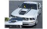 2005-09 Mustang Hood Bulge with Spears Decal Kit
